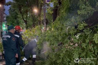 Спасатели оперативно на чрезвычайные ситуации, возникшие вследствие сильного ветра