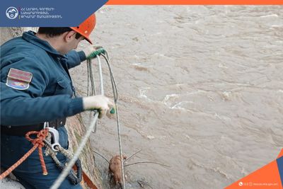 Փրկարարները շանը դուրս են բերել Աղստև գետից