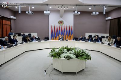 Աղետների ռիսկի կառավարման արդյունավետ համակարգի ձևավորմամբ՝ դիմակայունության բարձրացում. քննարկվել են ԵՄ կողմից աջակցվող դիմակայունության ծրագրի առաջնահերթությունները