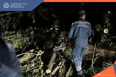 Спасатели отреагировали на все на экстренные звонки о сильном ветре