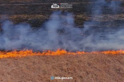 Why you shouldn't burn dry grass: the MIA urges to maintain fire safety rules
